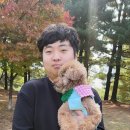 팻 빌리지 이미지