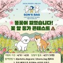 감자국댕치원 이미지