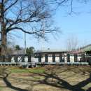 상서대 티스토리