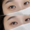7496 | 마곡나루역속눈썹 후기 | 와이오브로우 강서점에서 받은 마곡나루역속눈썹펌