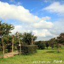 하단동1240 이미지