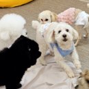 스토리 멍 이미지