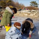 창의의 숲 이미지