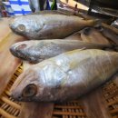 명진건어물 이미지