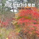 잣향기푸른숲 유아숲체험원 | 가평에 이런곳이?! 잣향기푸른숲 수목원 경기도 숨은명소 단풍맛집