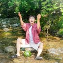 1203 Daum카페