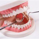 설플란트치과의원 이미지