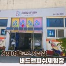 거제도체험 추천 아이와 가기 좋은 버드앤피쉬 후기