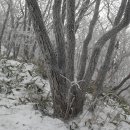 1박2일 아래 이미지