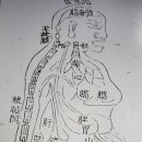 동의보감요약정리 ㅡ424편 이미지