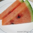 벽제갈비 이미지