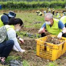 당동2리 이미지