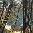 천과나무 이미지