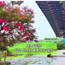 화순 시외버스 공용정류장 | 전남 화순 가볼만한곳 만연사 여름 배롱나무 절정! 광주근교 사찰 여행