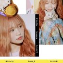 리틀나인 이미지