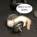 커샐