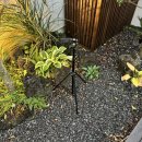 스테이 마넷 이미지