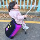 이지어린이집 | 아기 타는 캐리어 마이크로 러기지 이지 유아캐리어 쿠션세트