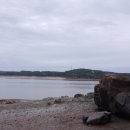 금호행정사 이미지