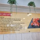 통영김밥 이미지