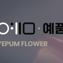 정화 태권도장 이미지
