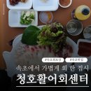 속초 청호활어회센터 승희수산 회포장 리뷰