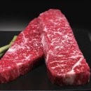 반려동물 간식 이미지