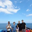 대절농장 | 제주도 스타렉스 대절 기사포함 제주 가족여행 편리했던 선택