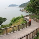 바다와솔숲 이미지