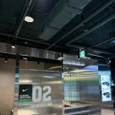 LINE GYM | 광화문 헬스장, 새로운 운동 메이트를 찾다! 버핏그라운드 광화문 방문 후기