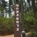 꾸지나무골해수욕장 이미지