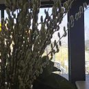 커피라떼아트 오후 이미지