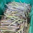 초촌농장 이미지