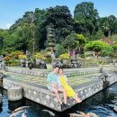 세풍농장 이미지