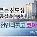 망정지 이미지
