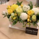 영플레르