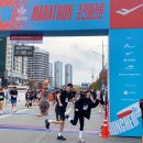 봄내체육관 | 춘천마라톤 10km 후기 : 러닝 초보 A부터 Z까지