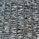 수막 목장 이미지