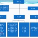 병원조직도 편성:그룹별보고서(화6,수78)-원광예방전문병원(수정완료) 이미지