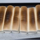 지에스25노량아이비 | 간식) 11월 말 정리 - 머쉬멜로우도넛초콜릿빵과자팝콘