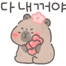 바다거북베이커리카페