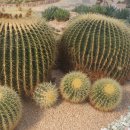 방글농장 이미지