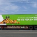 수애드코리아 이미지