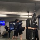 라이프짐MMA 이미지