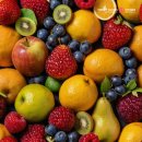 신선헬스 이미지