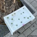 잇츠찜이야기 | [2512] 2주 전 생파하고 부케 받은 일상