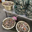 은포굴수산 | [보령굴단지] 보령 천북굴단지 4동 은포굴수산