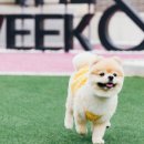 더위크앤리조트(더우프앤) 이미지