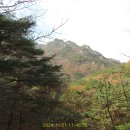 해인사소리길 이미지