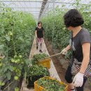 서면농장 이미지